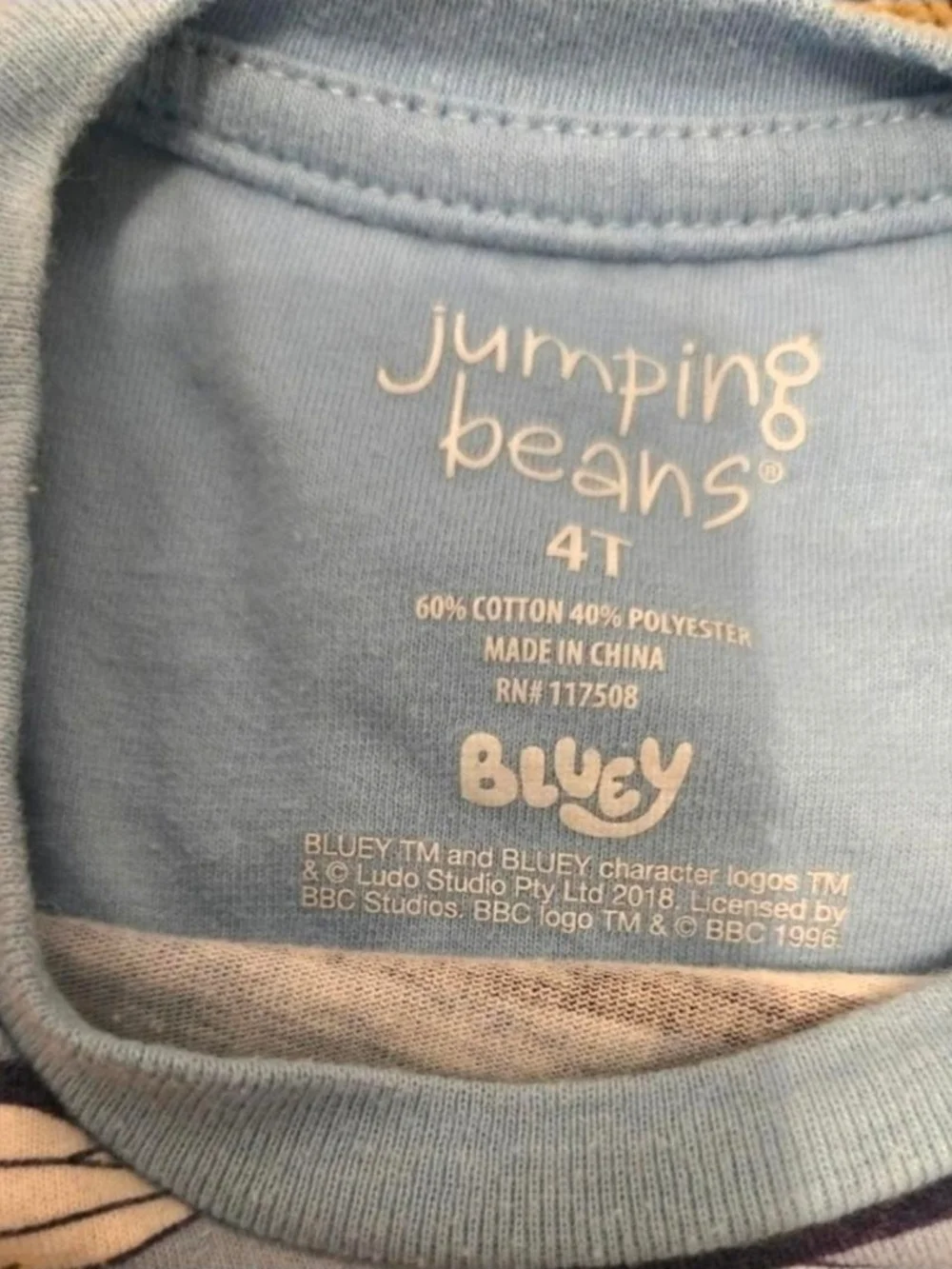 Jumping Beans Bluey & Bingo Striped Tshirt-Size 4T EUC